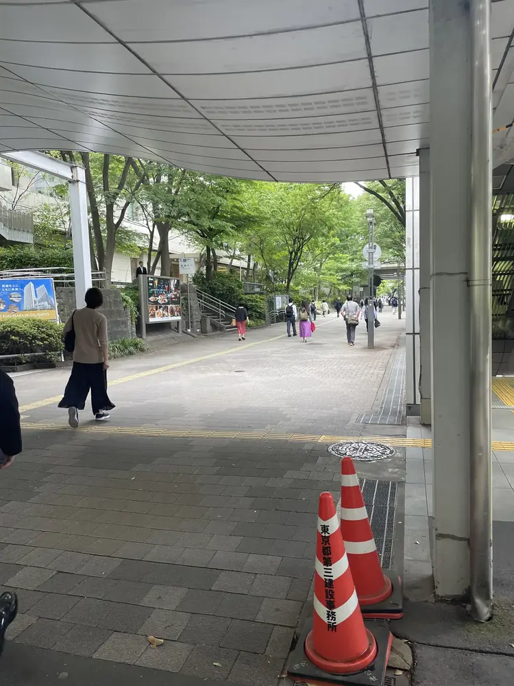 2026年5月15日の写真